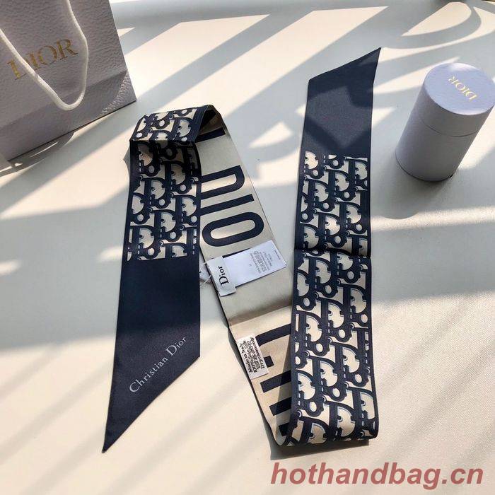 Dior Scarf CD00101 Dior Scarf CD00101
