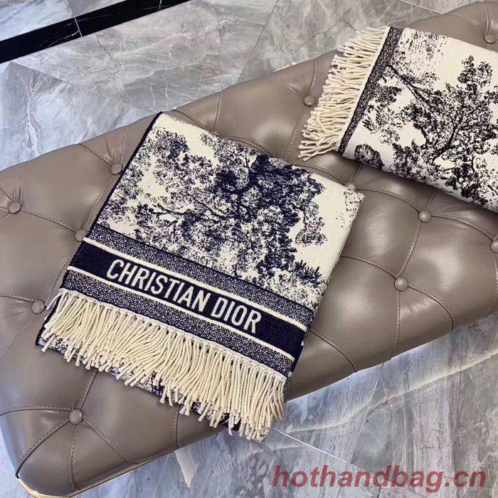 Dior Scarf CD00136 Dior Scarf CD00136