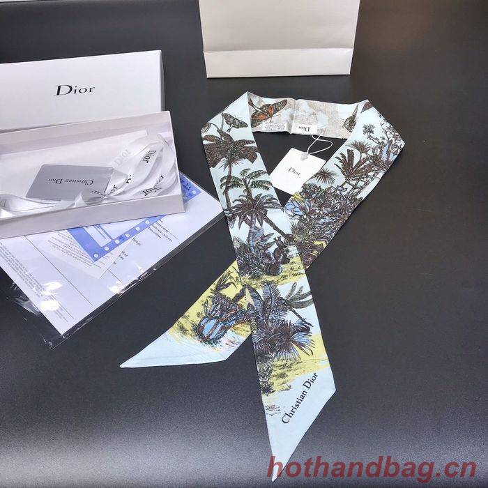 Dior Scarf DIS00002 Dior Scarf DIS00002