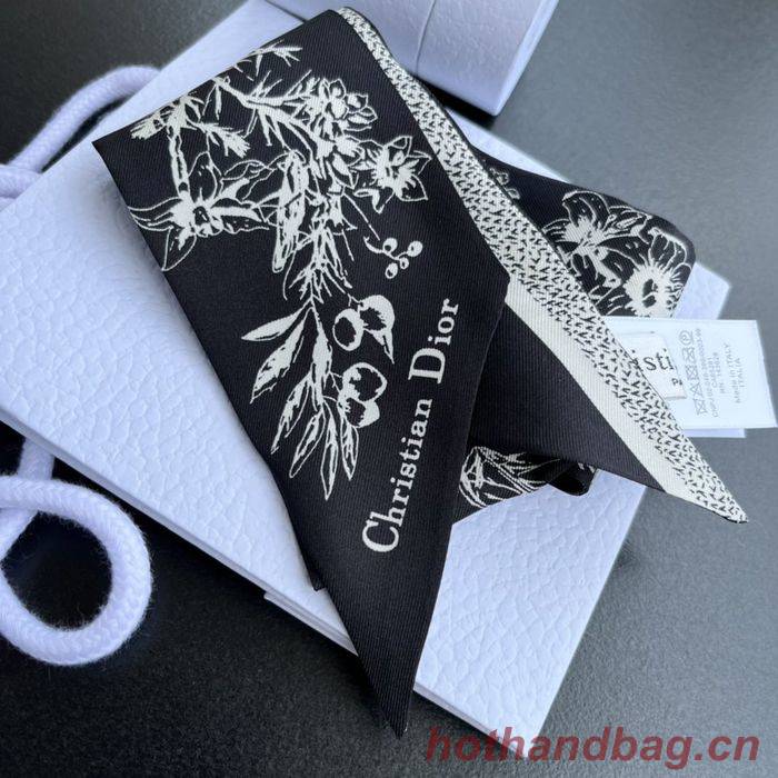 Dior Scarf DIS00005 Dior Scarf DIS00005