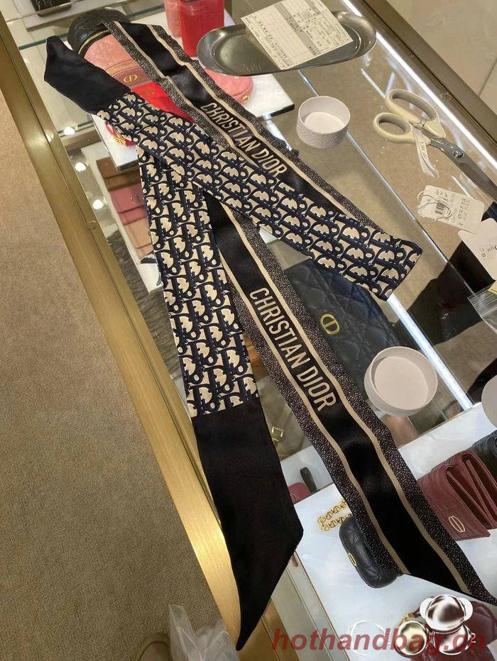 Dior Scarf DIS00014 Dior Scarf DIS00014