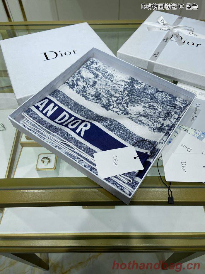 Dior Scarf DIS00031 Dior Scarf DIS00031
