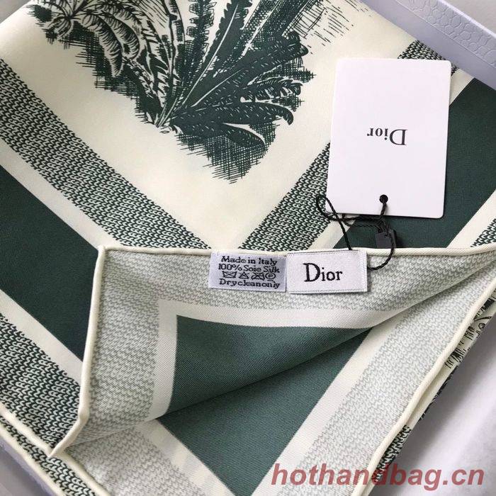 Dior Scarf DIS00043 Dior Scarf DIS00043