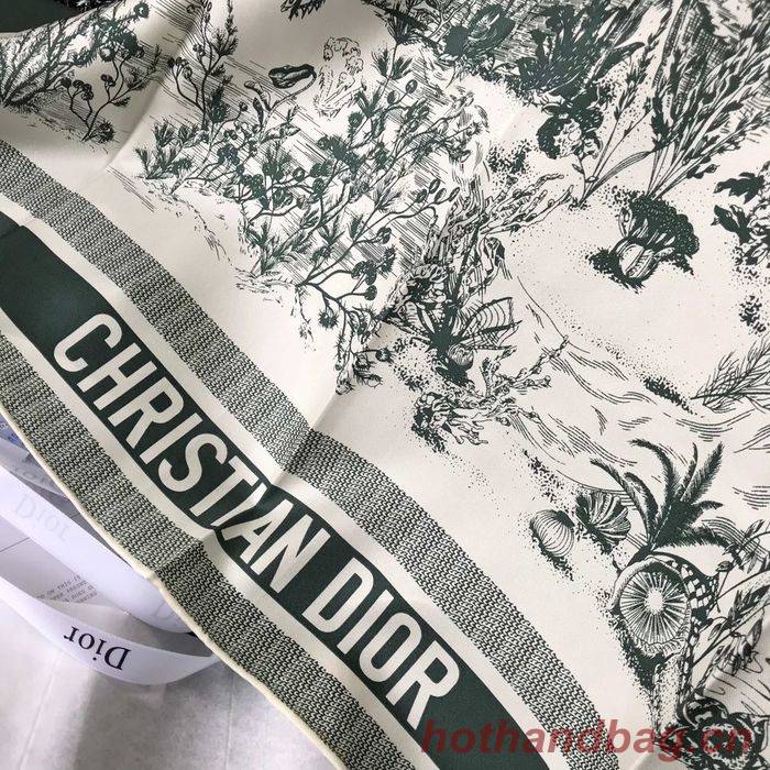 Dior Scarf DIS00043 Dior Scarf DIS00043