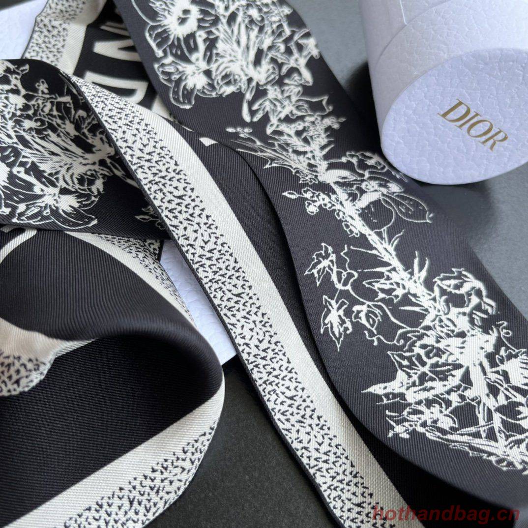 Dior Scarf DIC00002 Dior Scarf DIC00002
