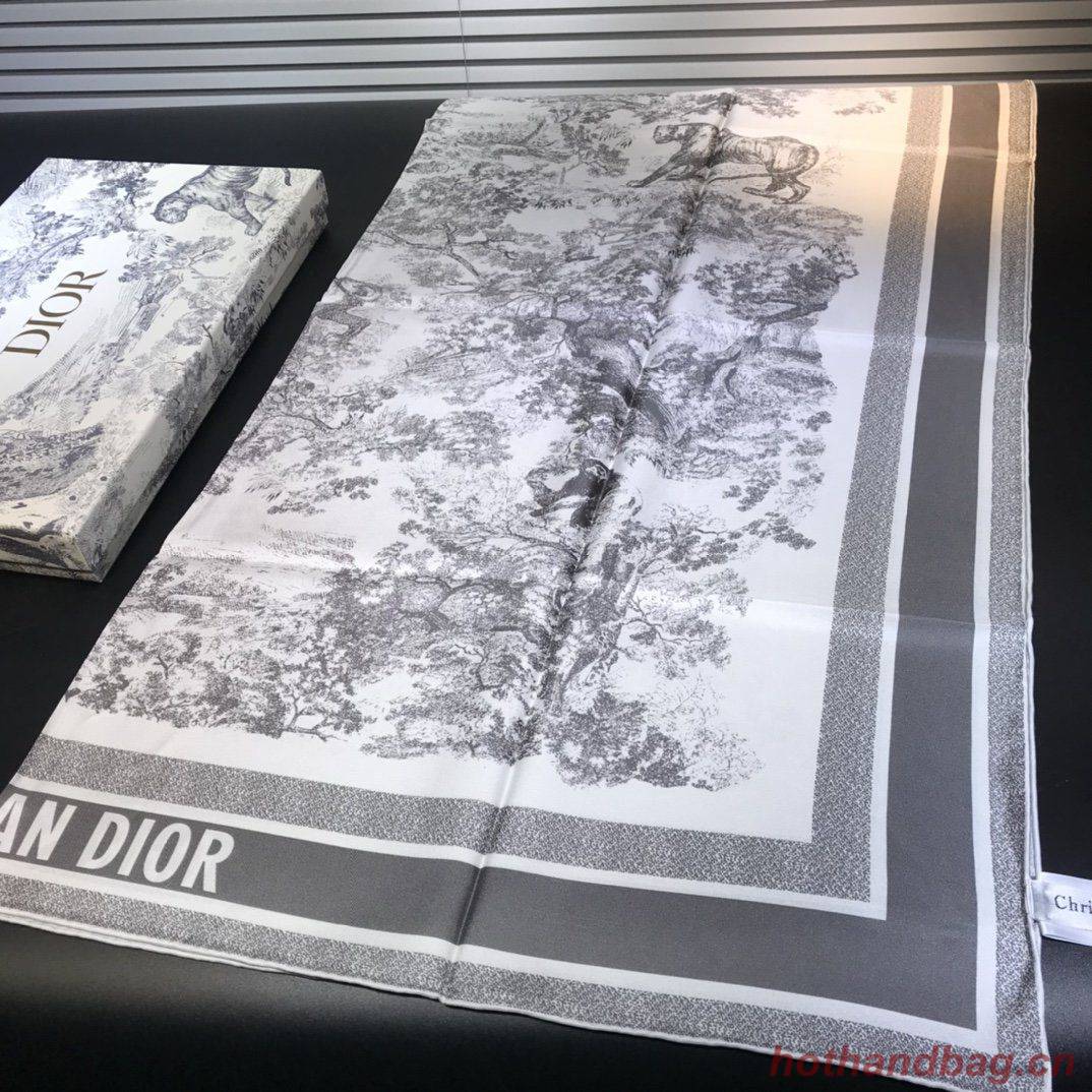 Dior Scarf DIC00058 Dior Scarf DIC00058