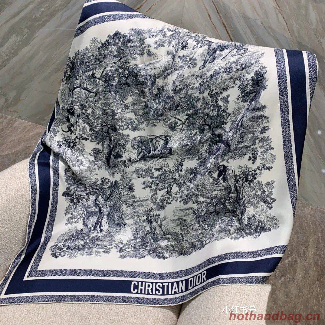 Dior Scarf DIC00075 Dior Scarf DIC00075