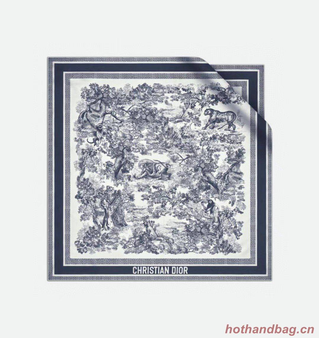 Dior Scarf DIC00075 Dior Scarf DIC00075