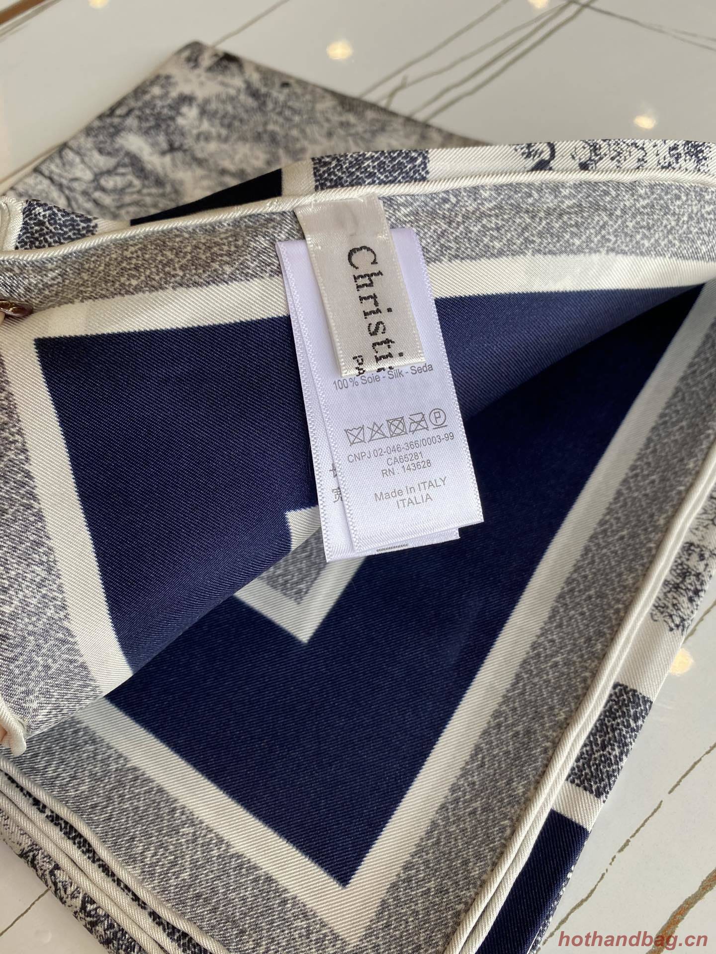 Dior Scarf DIC00075 Dior Scarf DIC00075