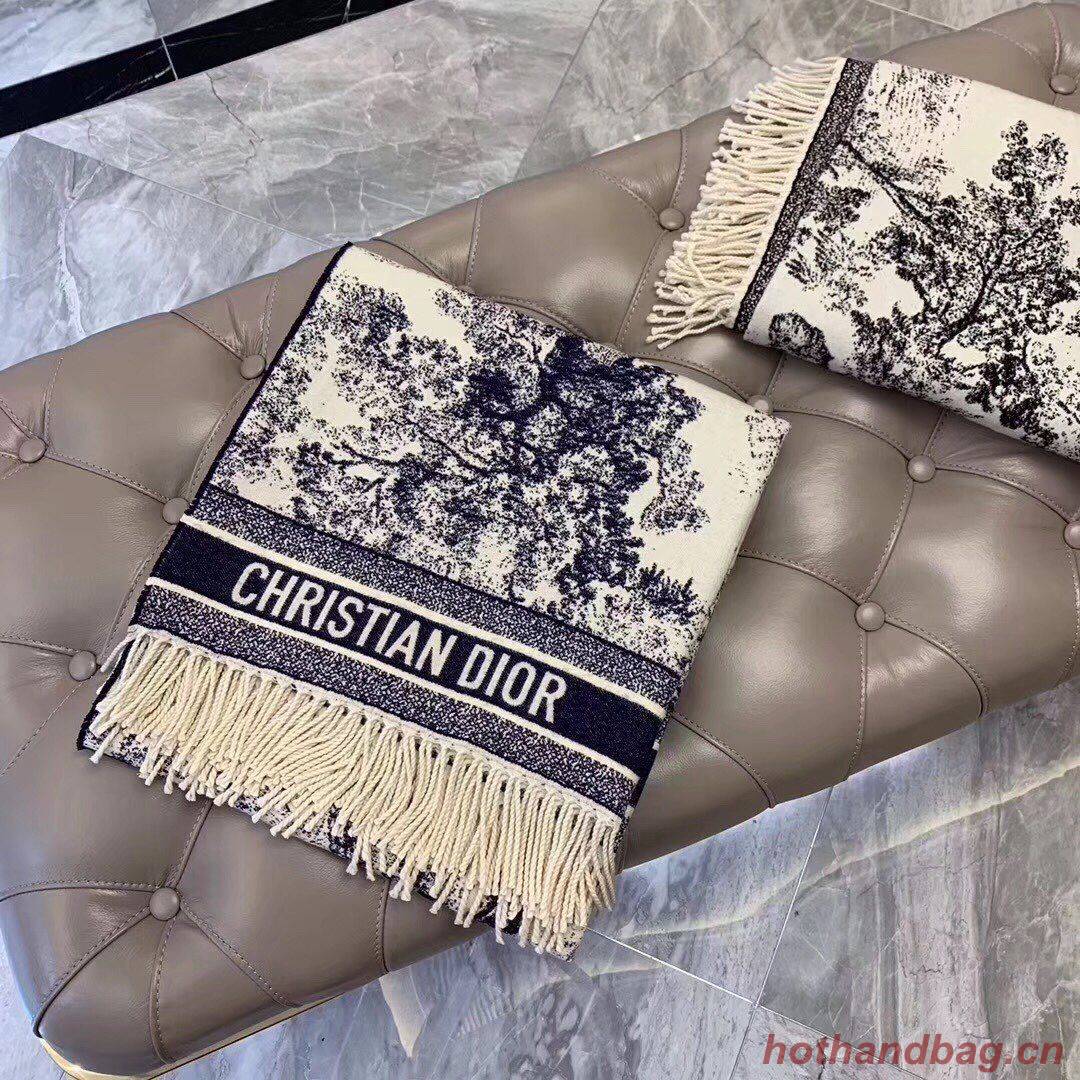 Dior Scarf DIC00136 Dior Scarf DIC00136