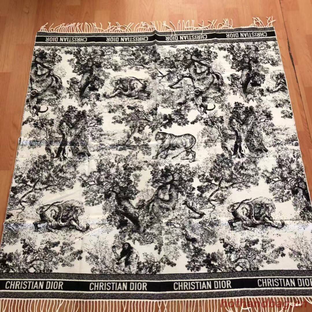 Dior Scarf DIC00136 Dior Scarf DIC00136