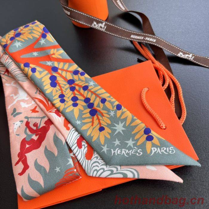 Hermes Scarf HEC00028 Hermes Scarf HEC00028