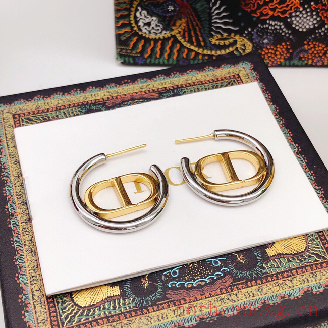 Dior Earrings CE12206 Dior Earrings CE12206