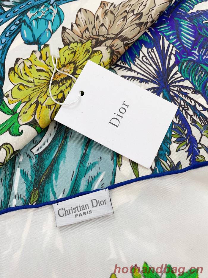 Dior Scarf DIC00175 Dior Scarf DIC00175