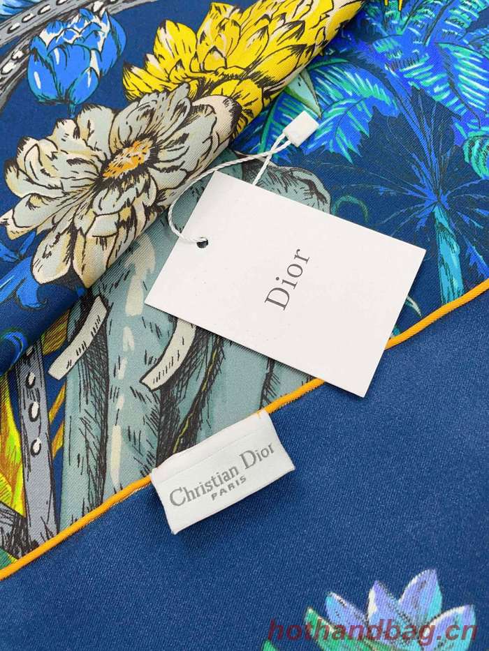 Dior Scarf DIC00176 Dior Scarf DIC00176