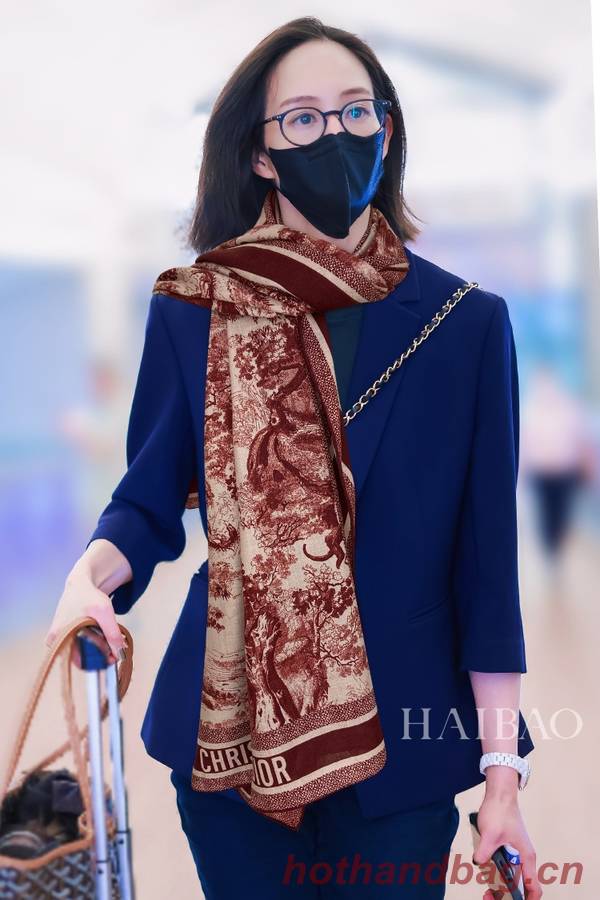 Dior Scarf DIC00237 Dior Scarf DIC00237