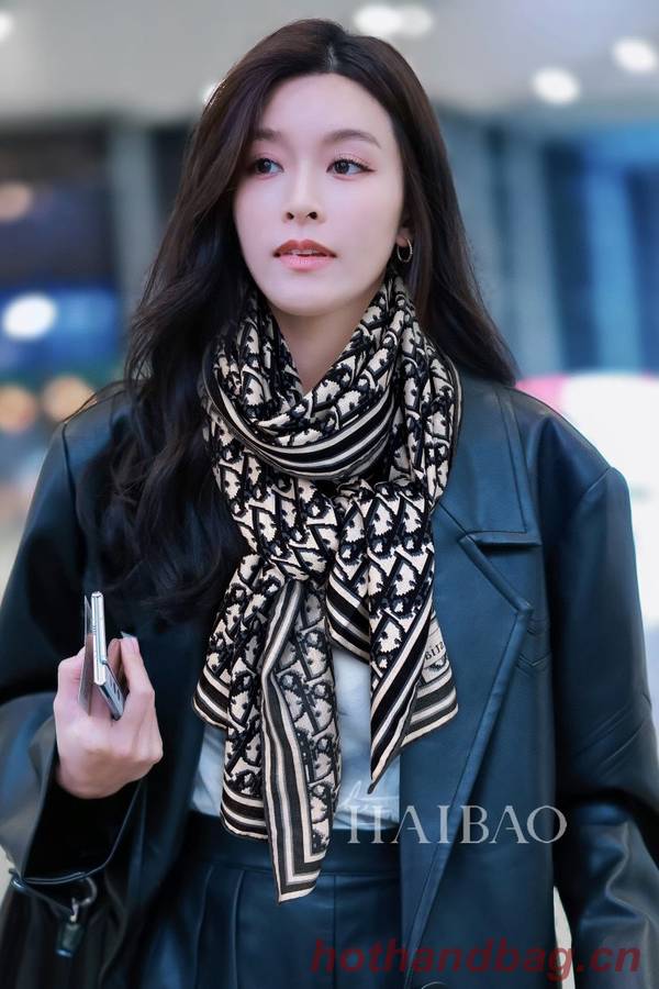 Dior Scarf DIC00243 Dior Scarf DIC00243
