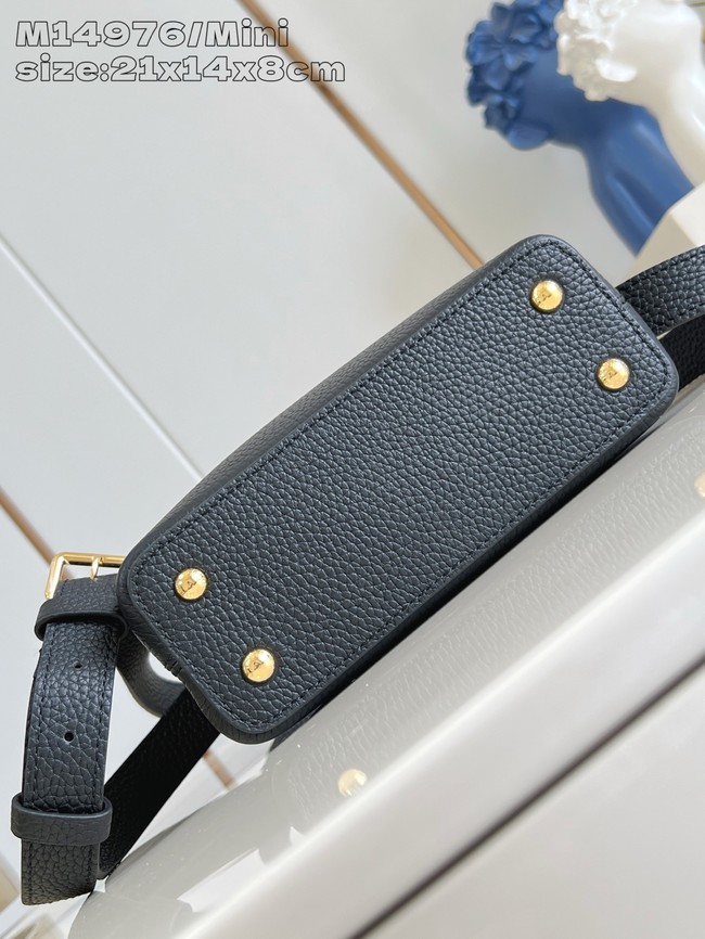 Louis Vuitton Capucines BB M14975 black