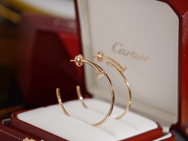 Cartier Earring CE81784