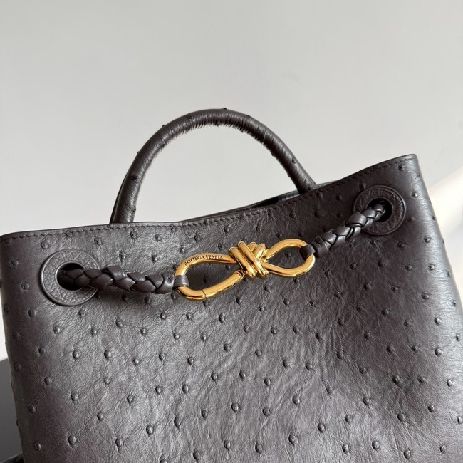 Bottega Veneta Small Andiamo 805231 Fondant