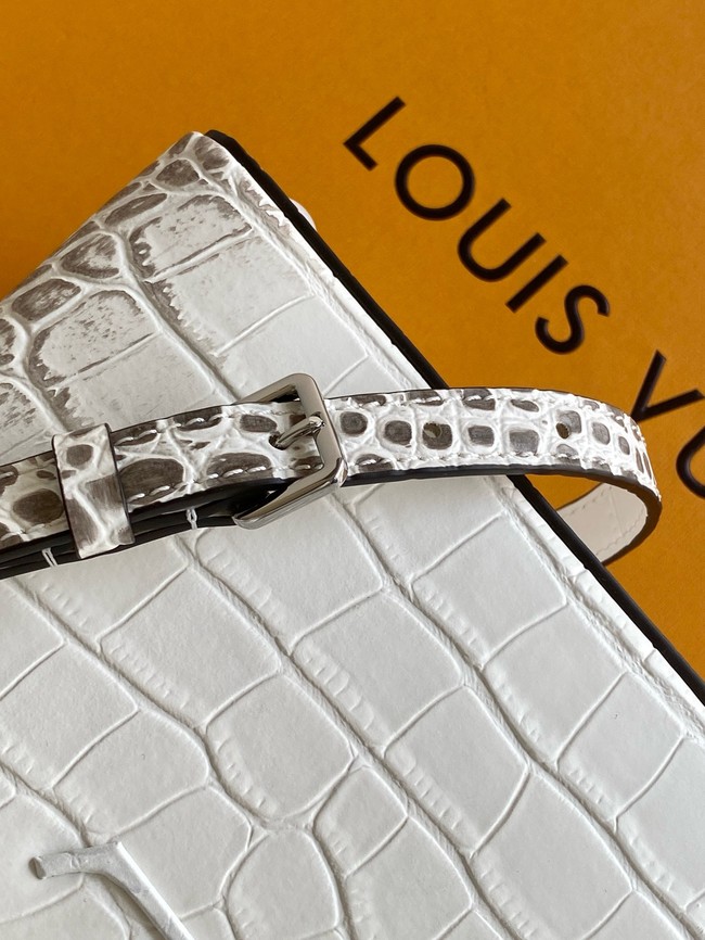 Louis Vuitton Capucines MINI M98156 light gray