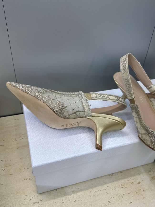 Dior JAdior Slingback Pump KCV445D-3