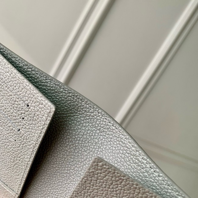 Louis Vuitton Passport Cover M63914 gray