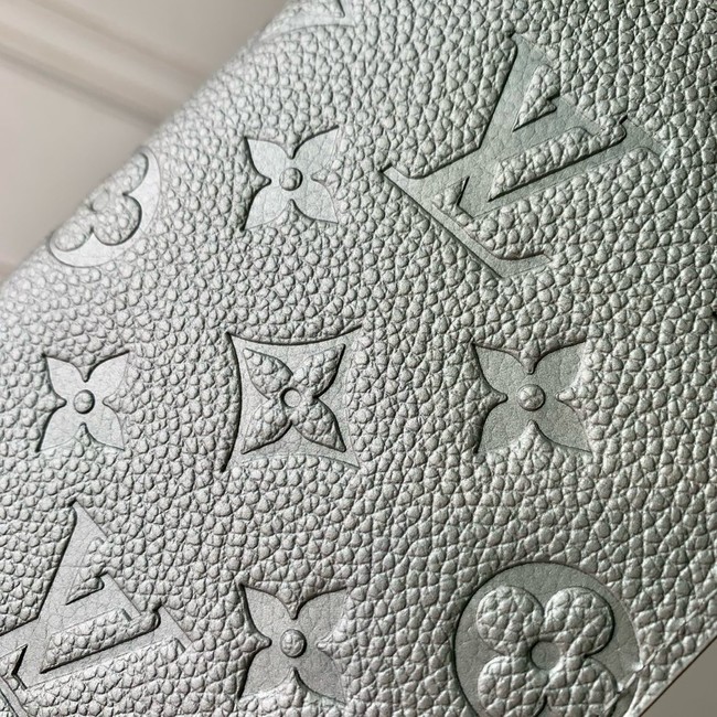 Louis Vuitton Passport Cover M63914 gray